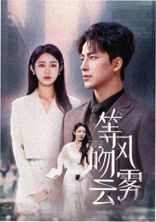 剧集夜航信号封面